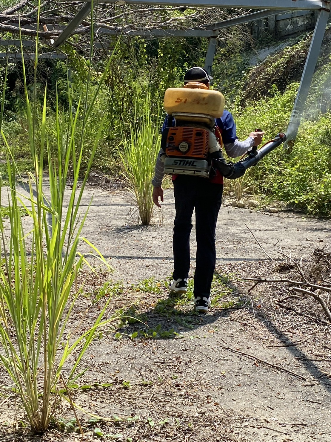 社區登革熱噴藥照片7